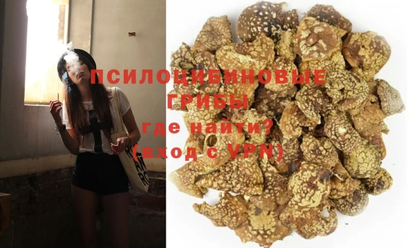 a pvp Алзамай