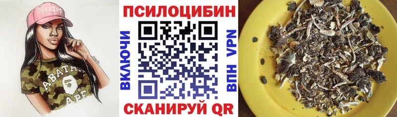купить   Белгород  Галлюциногенные грибы MAGIC MUSHROOMS 